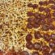 close up of pepperoni pizza